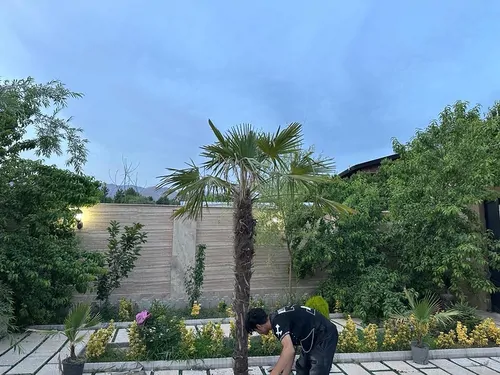 تصویر 4 - ویلا بیدمجنون در کوهسار