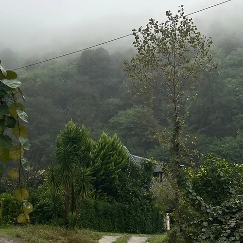 تصویر 24 - کلبه سوئیسی نوشا  در  کلاچای