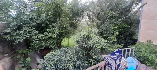 تصویر 2 - آپارتمان ویلا با ویو رو به فضای سبز . فاصله ۵ دقیقه ای تا جنگل و رودخانه در شیرگاه