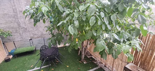 تصویر 10 - خانه بابا صمد در  شمشک