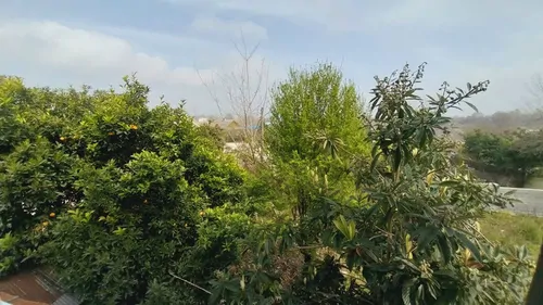 تصویر 3 - ویلا منظره جنگل و رودخانه در فومن