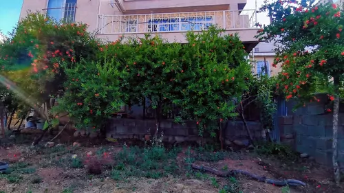 تصویر 10 - ویلا ویلایی هایا  در  پاوه