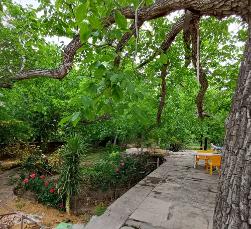 تصویر 3 - ویلا خانه گردو در راین کرمان