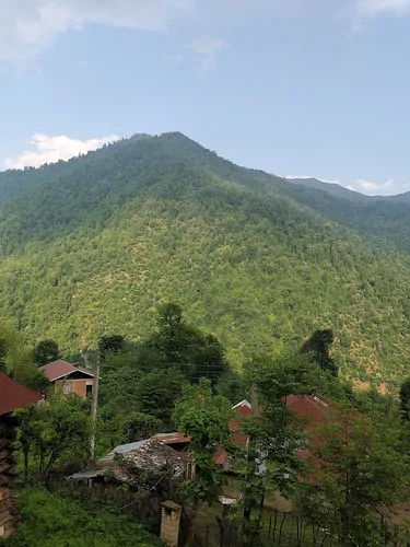 تصویر 18 - ویلا جنگلی کمیل در ماسال