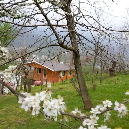 تصویر 16 - کلبه راش در  ماسال