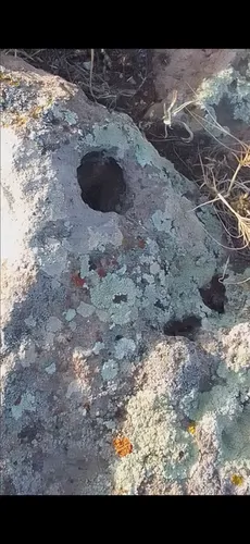 تصویر 5 - ویلا خانه گاه گلی داوطلب در  دیلمان