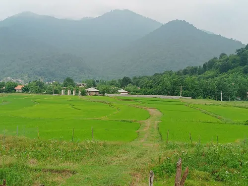 تصویر 16 - ویلا اسکندری در  ماسال