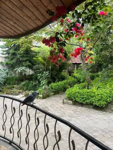 تصویر 18 - ویلا باغ گلسار  در  نوشهر