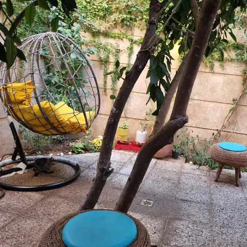 تصویر 18 - آپارتمان مبله دیبا در  شیراز