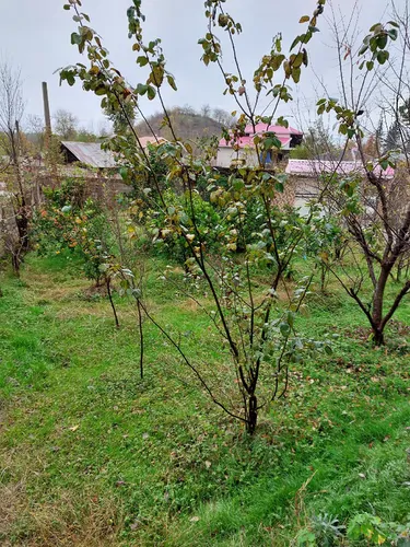 تصویر 4 - ویلا ویلا۹۰۰ دربستی با تمام امکانات  در ماسال