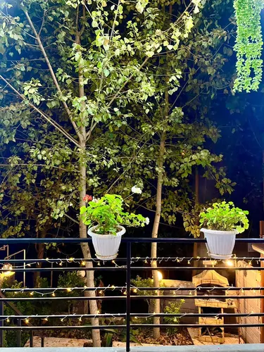 تصویر 16 - کلبه سوئیسی پناه با جکوزی  در  شیرگاه