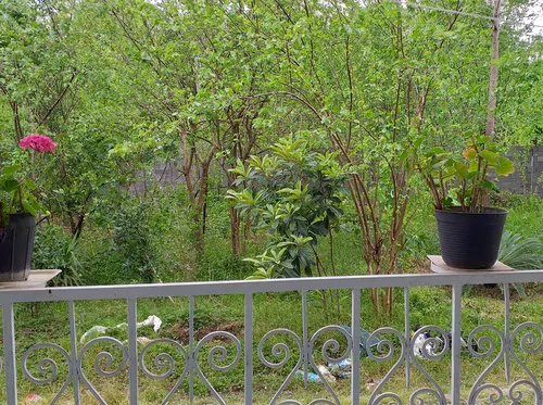 تصویر 15 - ویلا باغ جنگلی شادنشین در  شفت