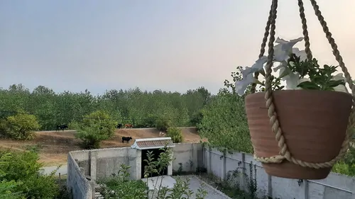 تصویر 5 - روستایی و عشایری خانه سنتی دیار اتاق گیله وا در  رشت