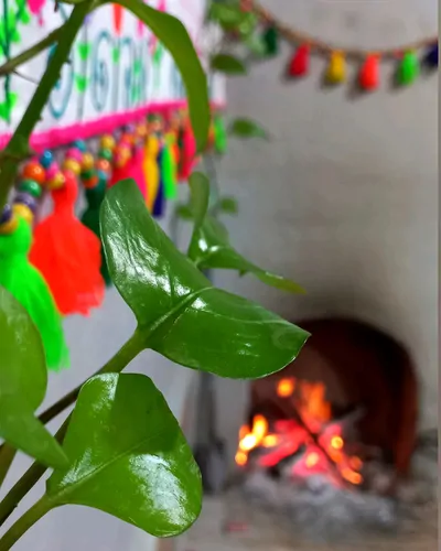 تصویر 16 - ویلا عمو یحیی در مینودشت