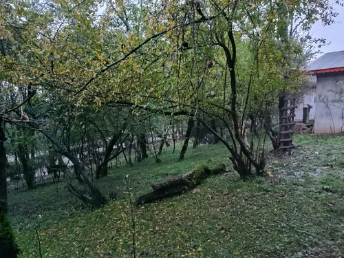 تصویر 2 - ویلا ویلا جنگلی در ماسال