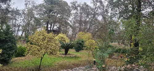 تصویر 2 - کلبه مجموعه اقامتی اوجا در بابلسر