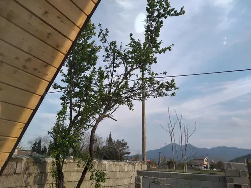 تصویر 4 - کلبه کلبه لوکس "دیار" در ماسال