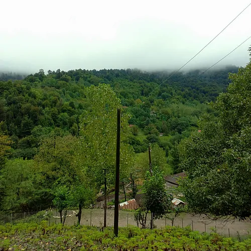 تصویر 14 - ویلا جنگلی فانوس در  رودبار