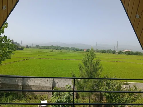 تصویر 18 - کلبه سوئیسی جاجامحله در  رضوانشهر