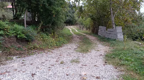 تصویر 25 - کلبه سوئیسی آنیدا در  ماسال