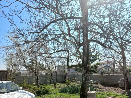 تصویر 13 - ویلا کریمی در  رضوانشهر