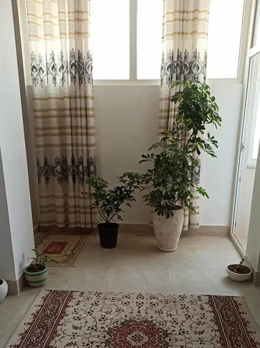 تصویر 2 - خانه حیاتی در گناوه