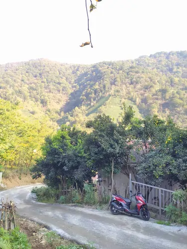 تصویر 18 - ویلا باغ جنگلی سیاهمزگی در شفت