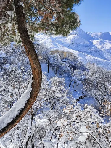 تصویر 17 - سوییت آتشکده با ویو جنگل  در  پاوه