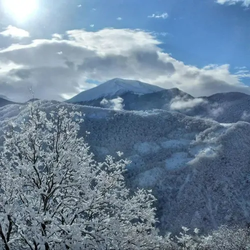 تصویر 13 - ویلا جنگلی پنجک در  مرزن آباد