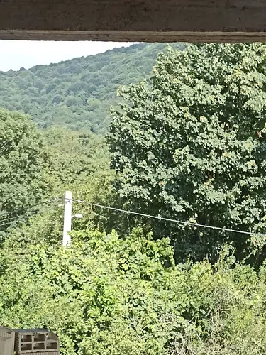 تصویر 5 - خانه لاکچری حیات دار در  رستم آباد