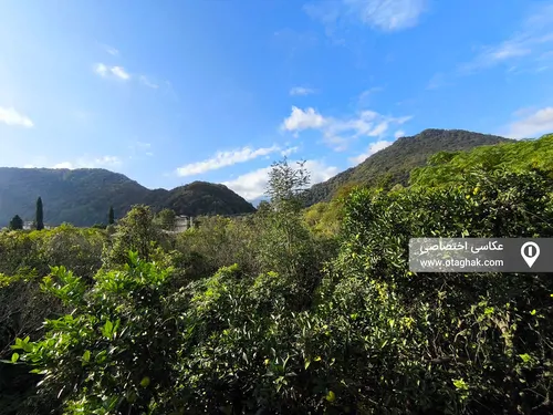 تصویر 11 - ویلا جنگلی جدیدی(واحد2) در  رامسر