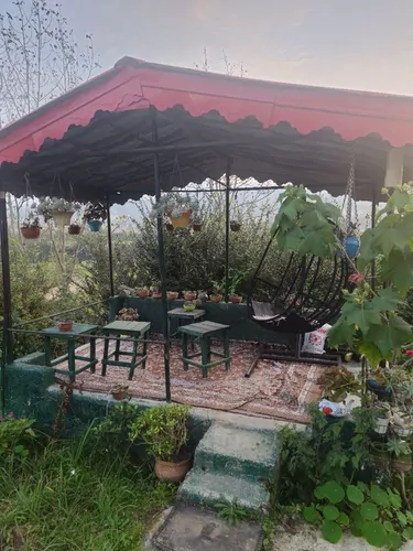 تصویر 25 - ویلا نیلوفر آبی در لنگرود