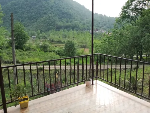 تصویر 11 - ویلا جنگلی اریا در  شیرگاه