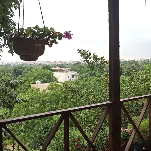 تصویر 5 - اقامتگاه بوم‌گردی خانه مسافر باغ رویا در  گلوگاه