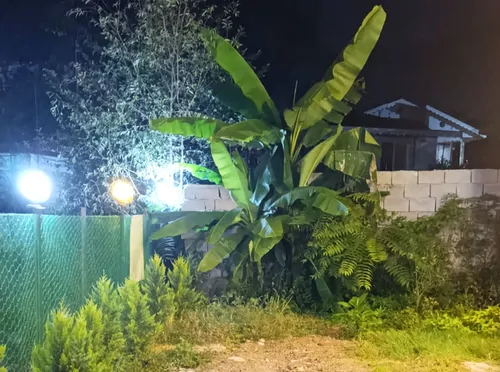 تصویر 13 - کلبه سوییسی اسما در  ماسال