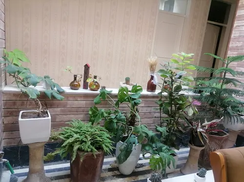 تصویر 5 - ویلا منزلی ویلایی شیک وجکوزی دار در  شیراز