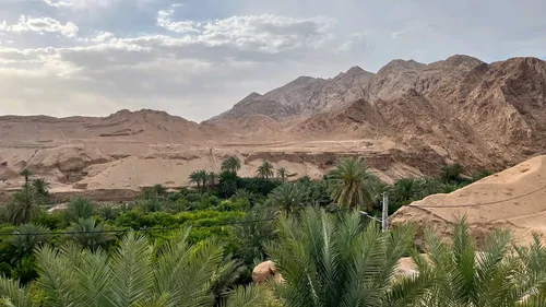 تصویر 23 - سوییت کوهستان (واحد۴) در طبس