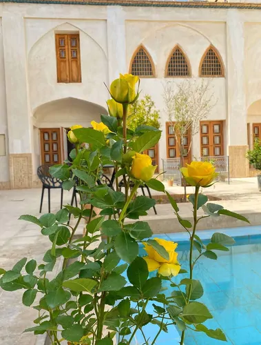 تصویر 10 - هتل سنتی سرای نفیس (اتاق یاقوت) در  کاشان
