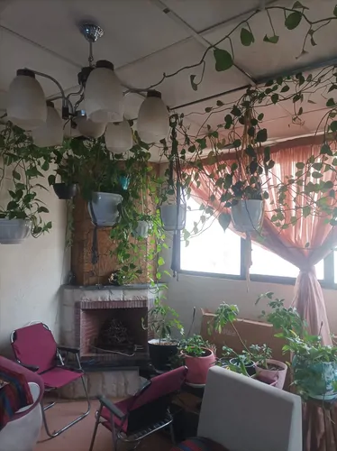 تصویر 5 - آپارتمان مبله صدرا طلاییه در  صدرا