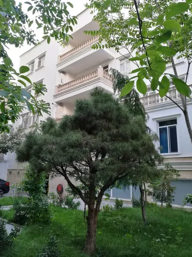 تصویر 20 - آپارتمان مبله لاکچری استخردار الهیه در  تهران