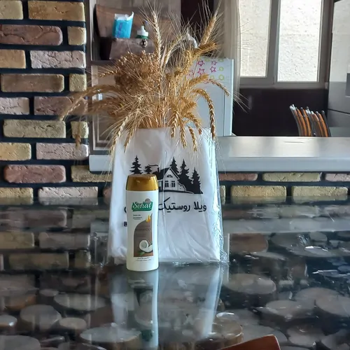 تصویر 21 - ویلا روستیک جنگلی با ایرهاکی حرفه‌ای در  کلاردشت