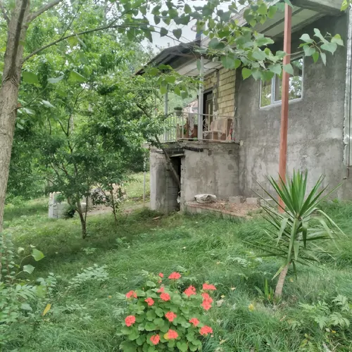 تصویر 8 - ویلا جنگلی حلیمه جان در  رستم آباد
