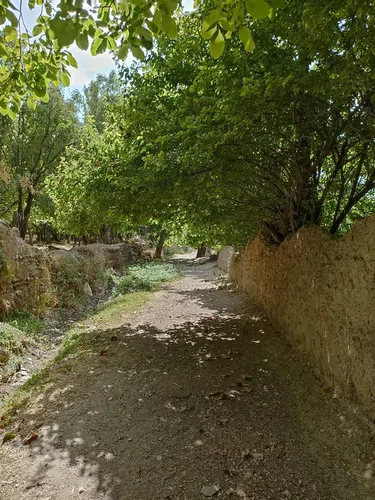 تصویر 16 - خانه سنتی آسمان در  خوانسار