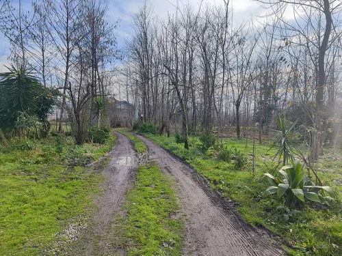 تصویر 9 - ویلا توسکا در  سیاهکل