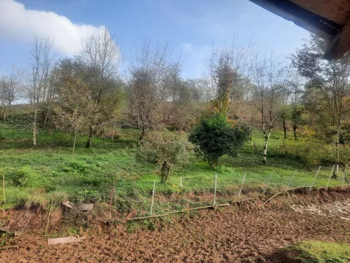 تصویر 4 - ویلا گل یاس ۱ در شفت