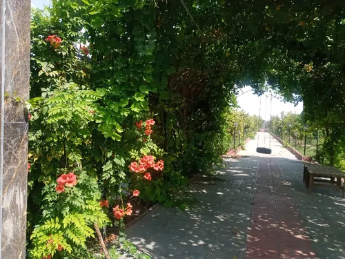 تصویر 5 - ویلا باغ استخردار روباز بهار در  ورامین