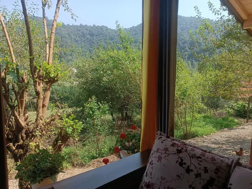 تصویر 15 - کلبه فردوسی با دیزاین چوبی در  ماسال