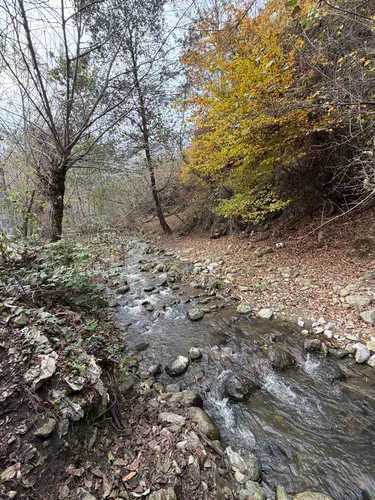 تصویر 20 - کلبه چوبی گندم در  ماسال