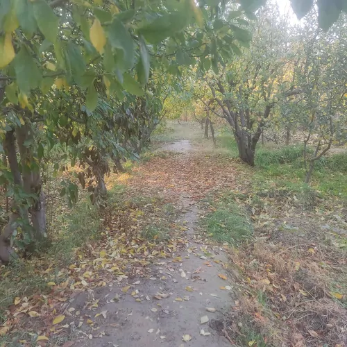 تصویر 5 - ویلا ویلا با بهترین لوکیشن شهریار  در  شهریار