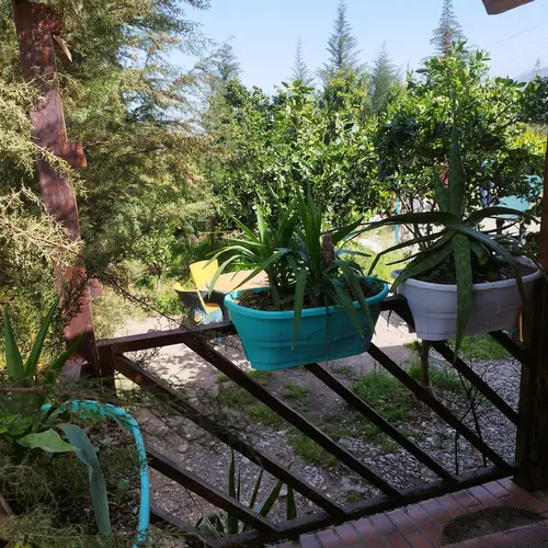 تصویر 30 - کلبه چوبی استخردار آبگرم سوگولی در  عباس آباد
